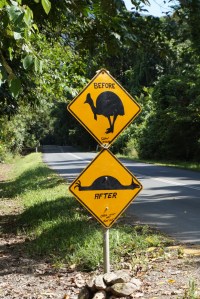 Roadsign CapeTrib
