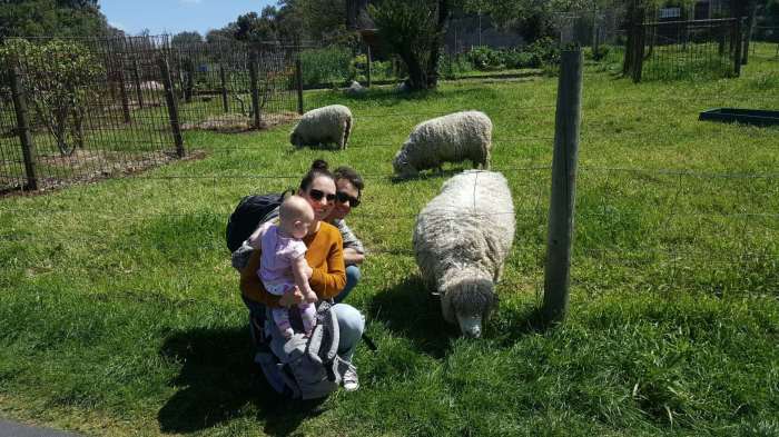 file-15-11-2016-5-15-46-pm